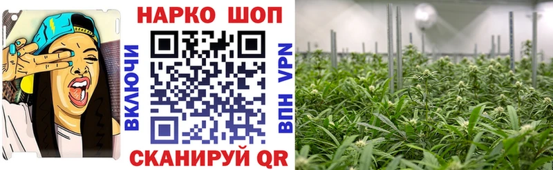 Где можно купить наркотики Шахунья ГАШИШ АМФЕТАМИН Бутират Кокаин A-PVP Мефедрон
