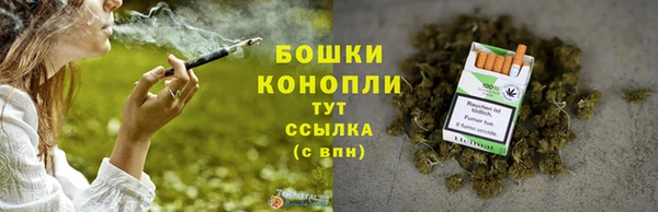сатива Володарск