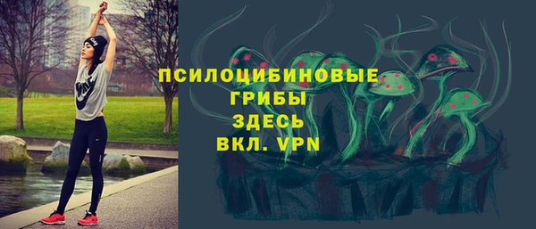 сатива Володарск